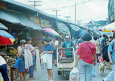 CarbonMarket 1 Sep2000