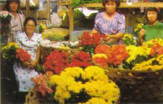 Cebu CarbonMarketFlowers320x206