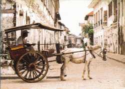 Pferdekutsche-Cebu250x179