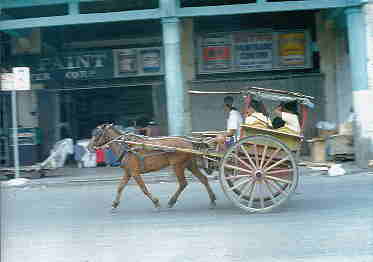 Tartanilla 2 Cebu Sep2000
