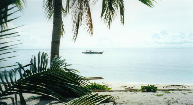Palme_mit_Boot