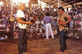 Cockfighting-1