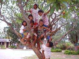 Malapascua-KidsTree