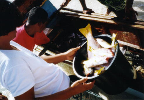 Fishing_Oscar1