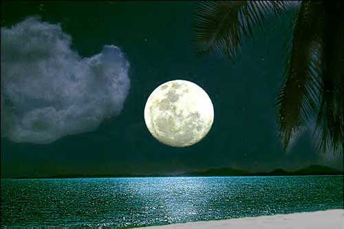 moon02