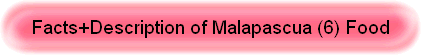Facts+Description of Malapascua (6) Food