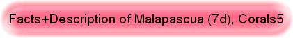 Facts+Description of Malapascua (7d), Corals5