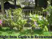 Sight from Garden to Restaurant