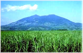 Mount-arayat2