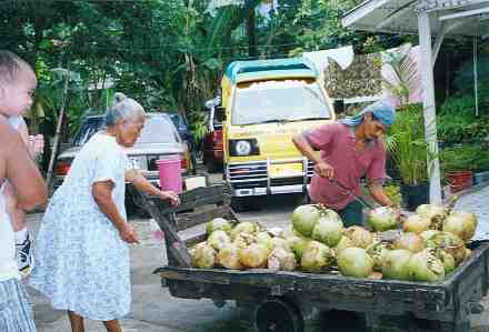 Cebu_Food_Coconut
