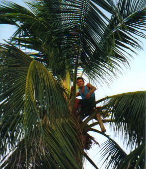 CocoNutMan2