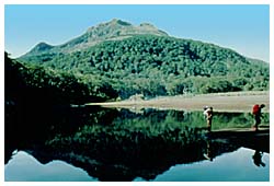 Mt.Apo